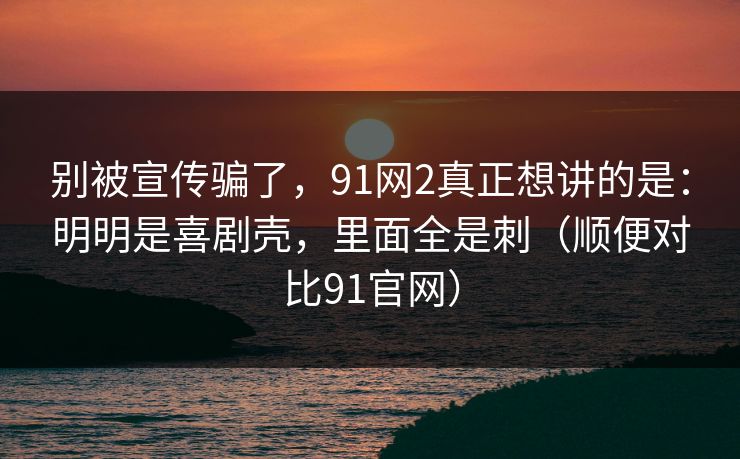 别被宣传骗了，91网2真正想讲的是：明明是喜剧壳，里面全是刺（顺便对比91官网）  第1张