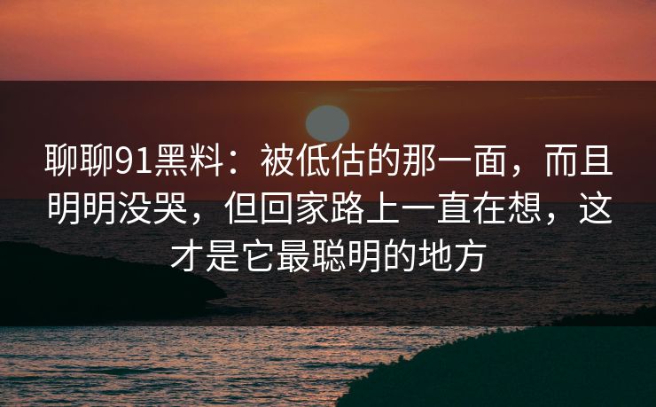 聊聊91黑料:被低估的那一面,而且明明没哭,但回家路上一直在想,这才是它最聪明的地方